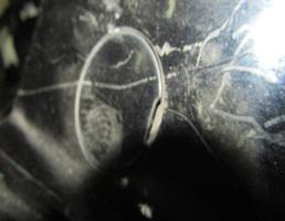 Заглушка заднего бампера для HONDA Civic VIII (2005—2009)  запчасти бу